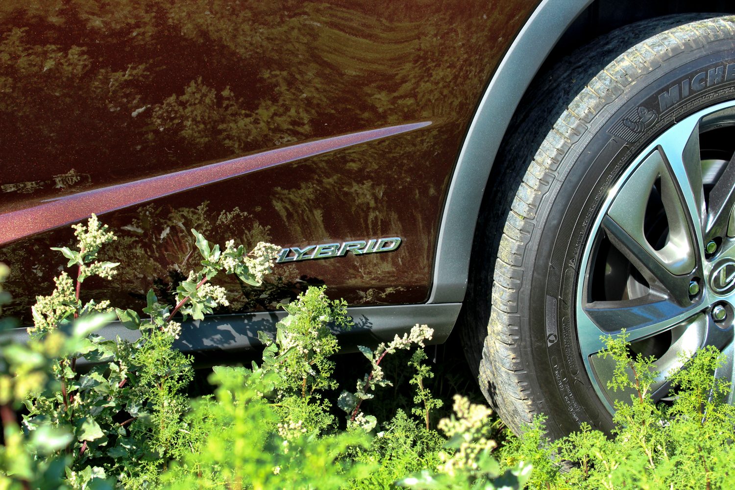 2019 Lexus RX 450 Hybrid