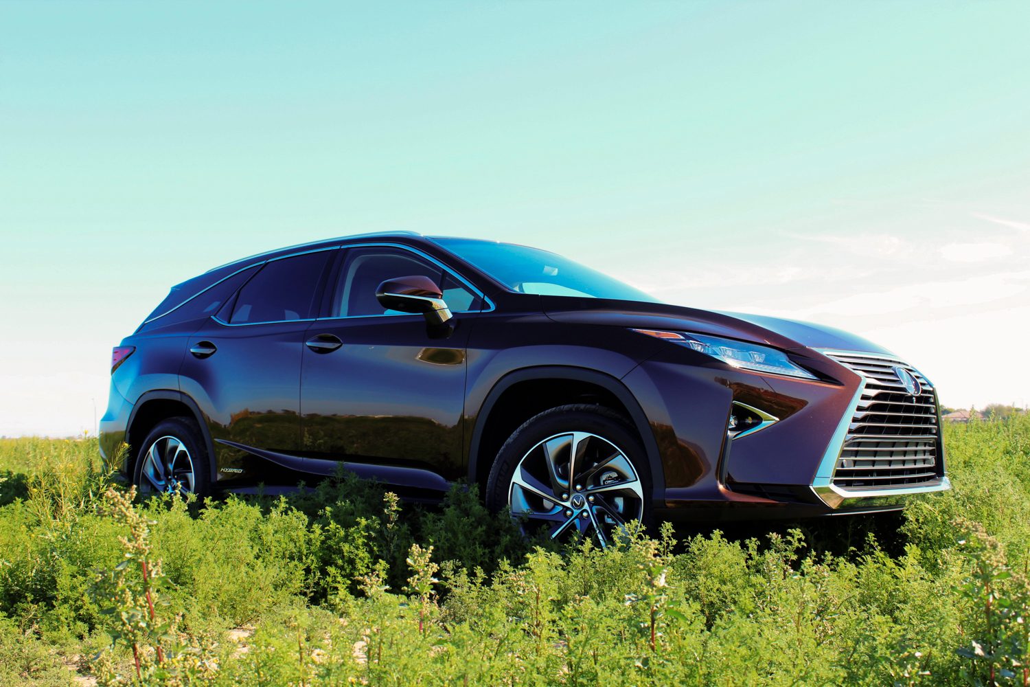 2019 Lexus RX 450 Hybrid
