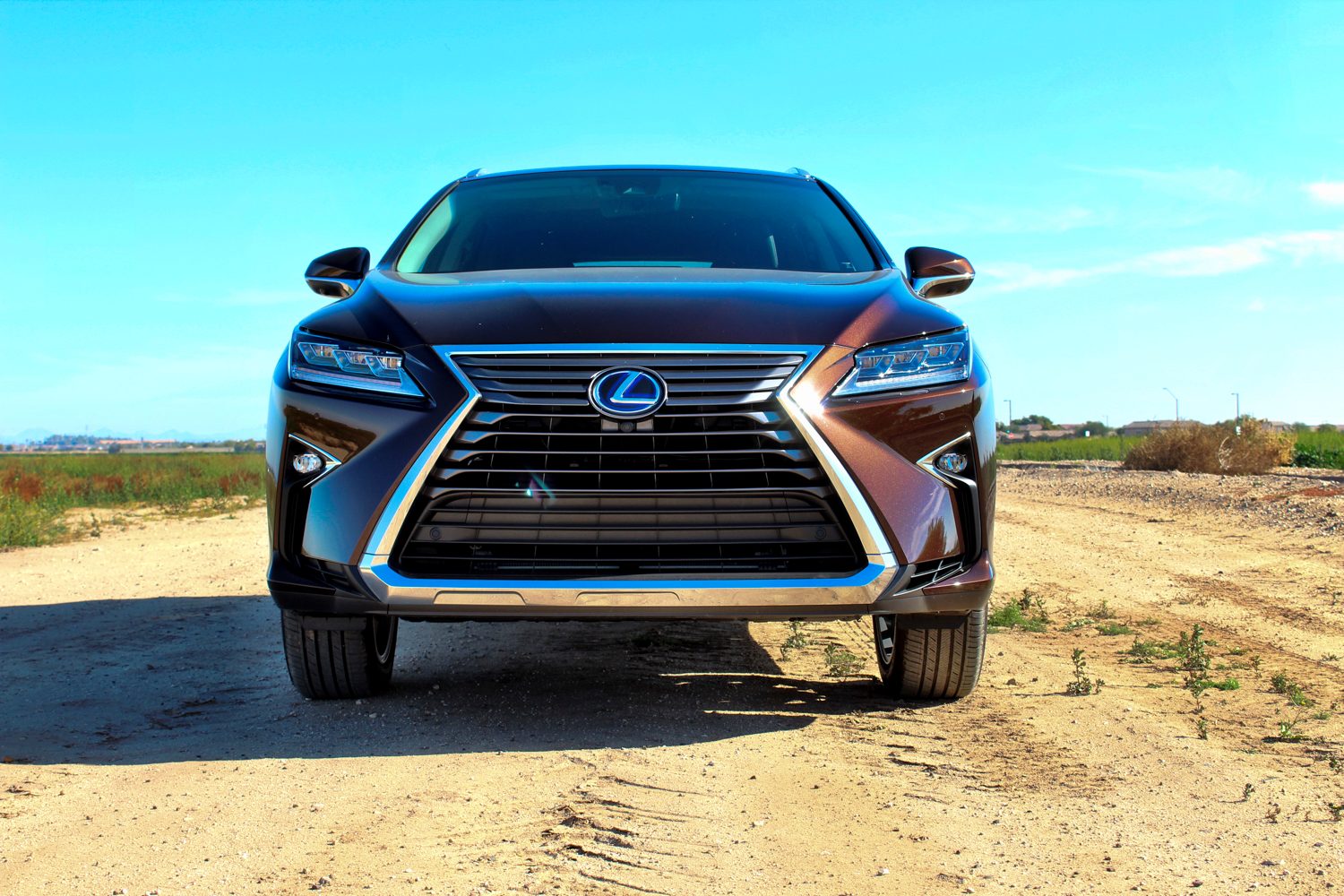 2019 Lexus RX 450 Hybrid