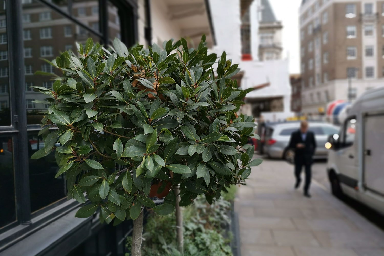 revision honor view 20 full review camera sample 1