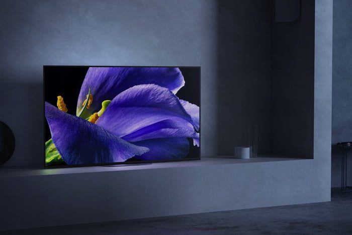nuevo sony ces 2019 a9g in situ 700x467 c