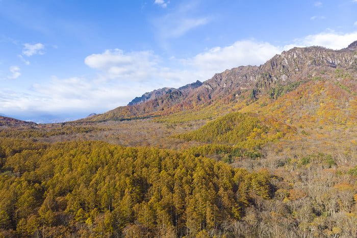 fotografia drones drone view of mt togakushi in autumn 700x467 c