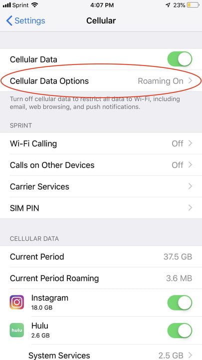 datos en el iphone como ahorrar ios 12 cellular data options 720x720