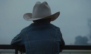 comercial kia telluride 2020 ad