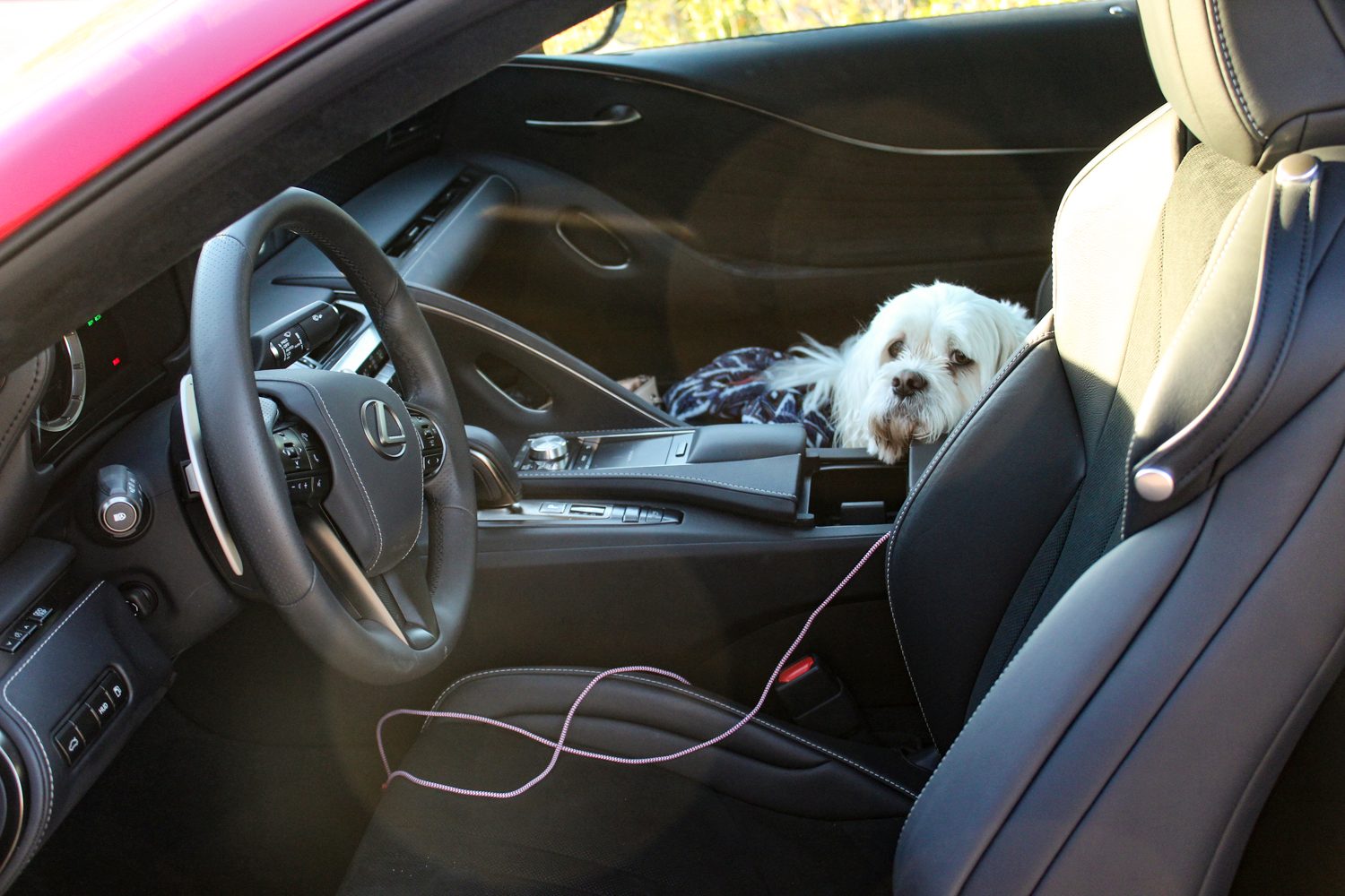 revision lexus lc 500 2019 13