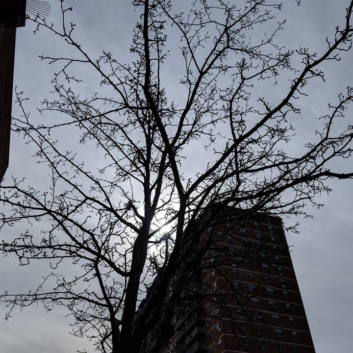 revision nokia 9 pureview tree pixel 3