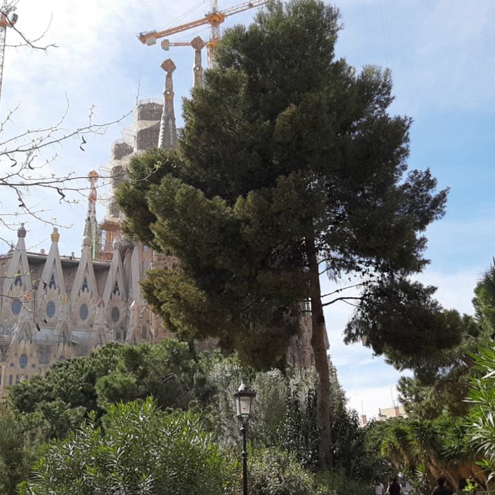 galaxy a7 vs a9 camara 2