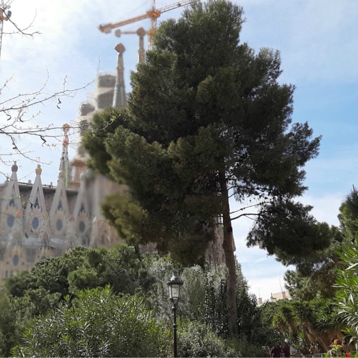 galaxy a7 vs a9 camara