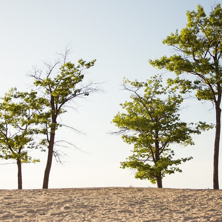 que es la apertura en fotografia landscapef2 8 1600x1067