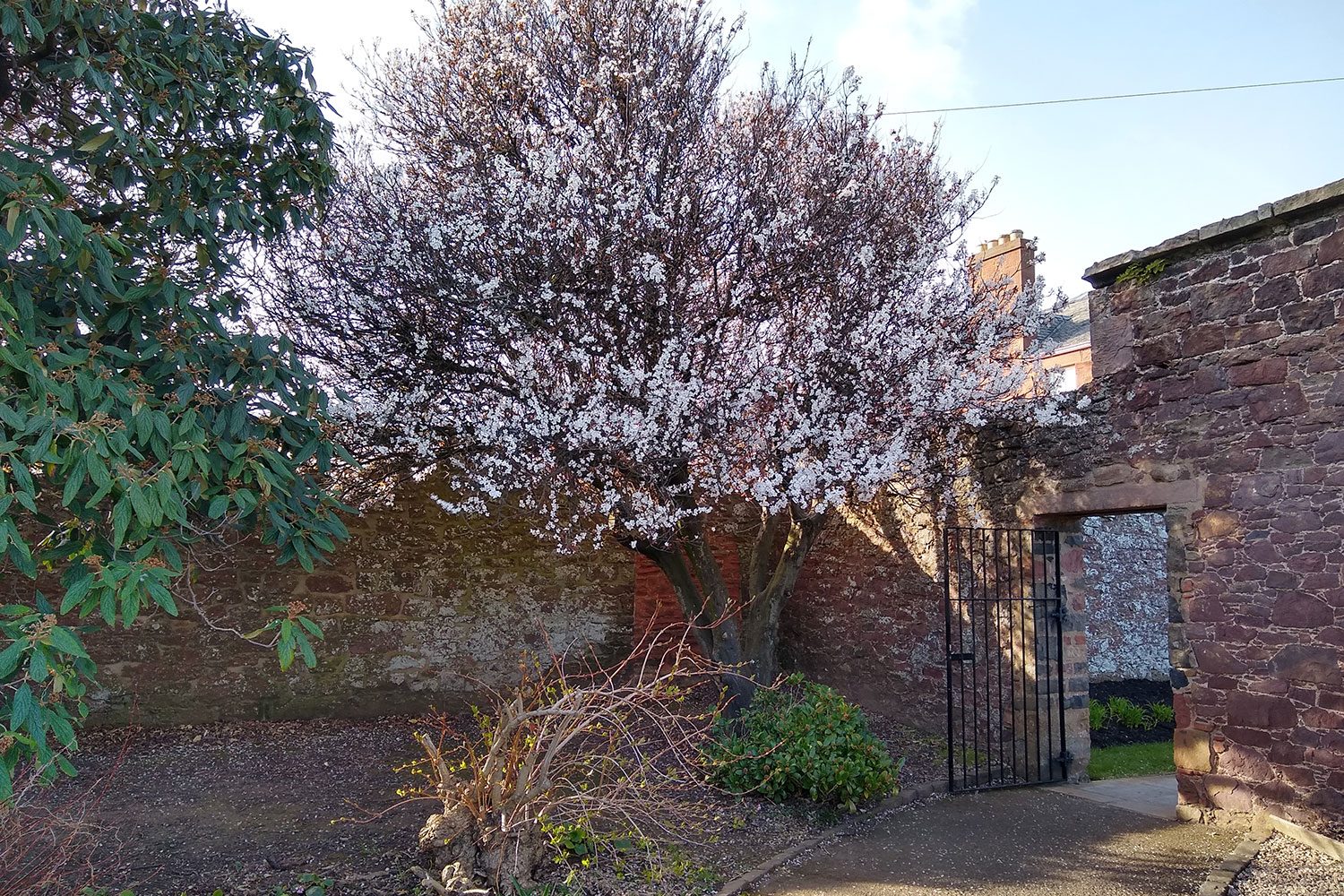 revision moto g7 review camera sample 2