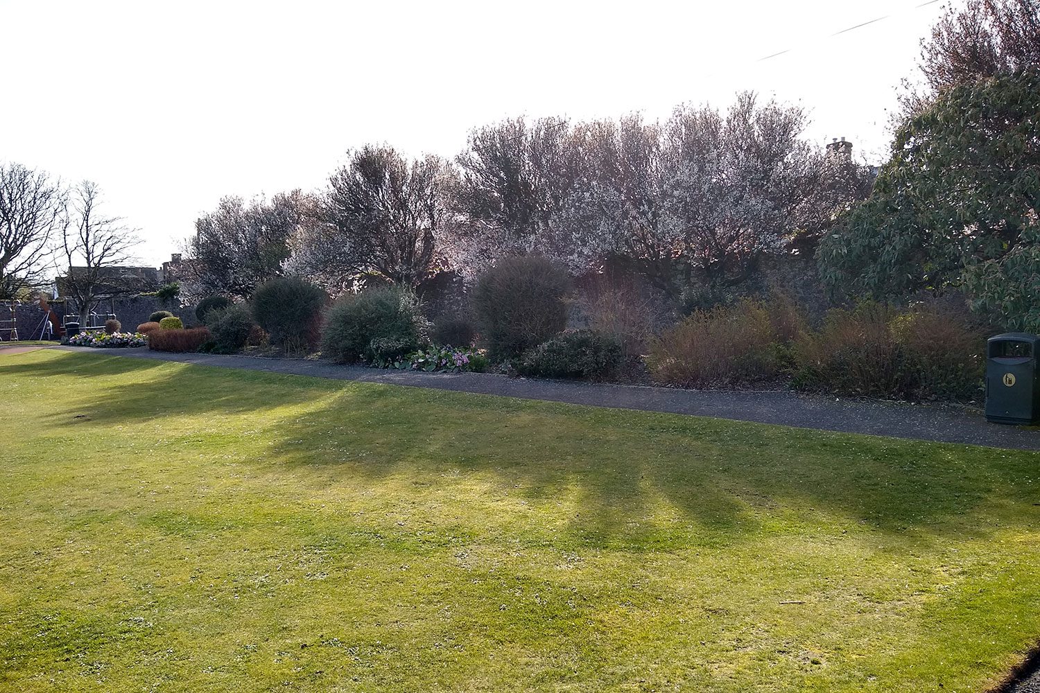 revision moto g7 review camera sample 3