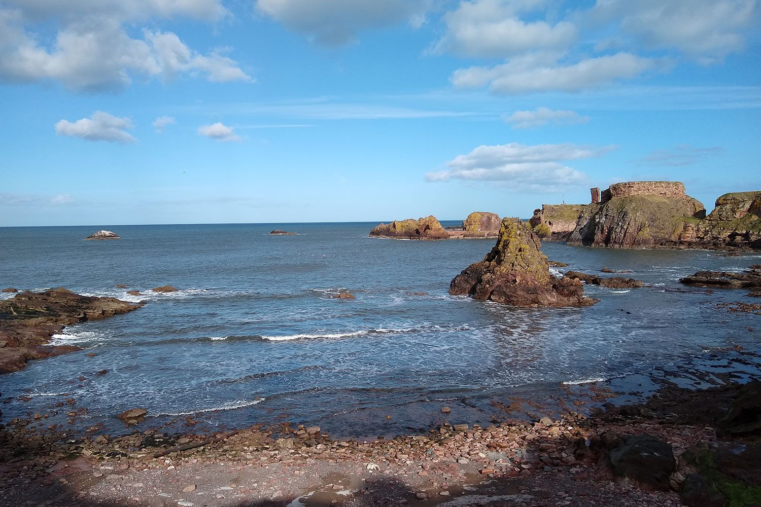 revision moto g7 review camera sample 5