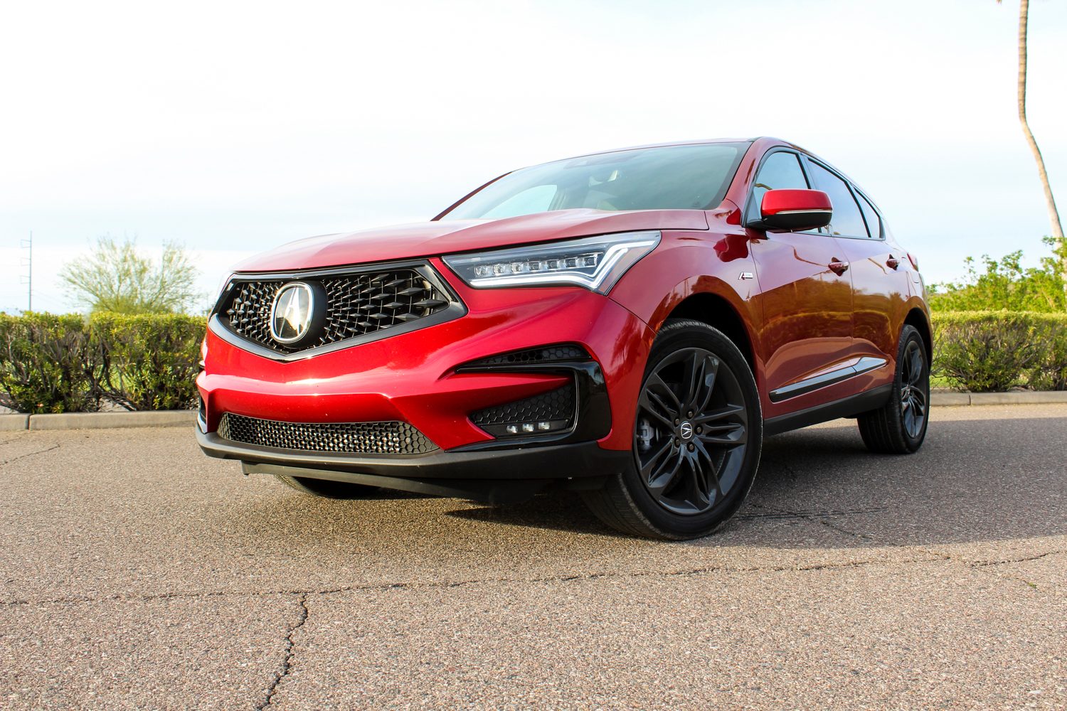 acura RDX 2019