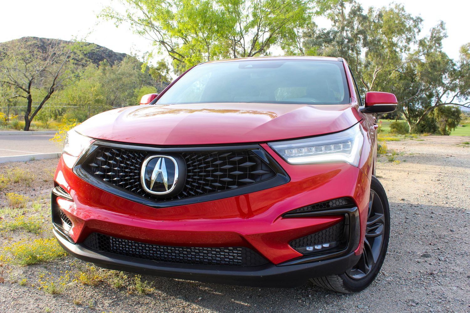 acura RDX 2019