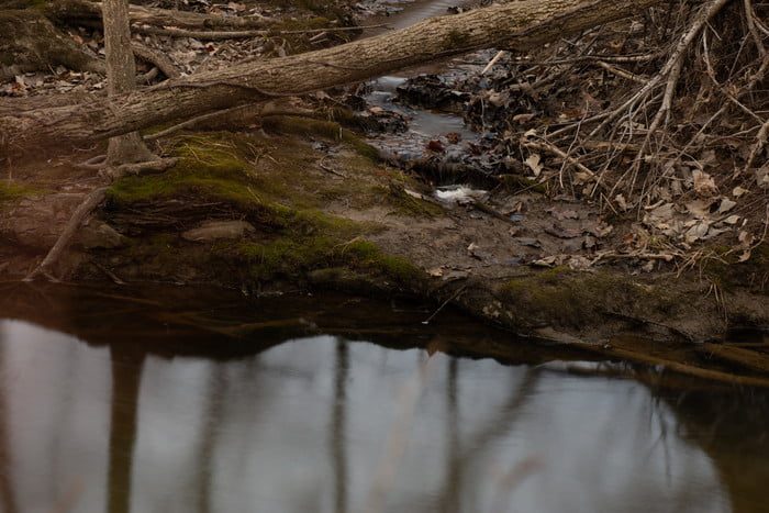 mejores filtros para camaras dsc 2785 700x467 c