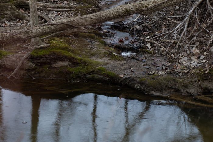 mejores filtros para camaras dsc 2788 700x467 c