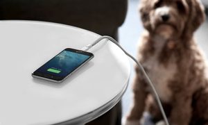 mejores cables Lightning para iPhone