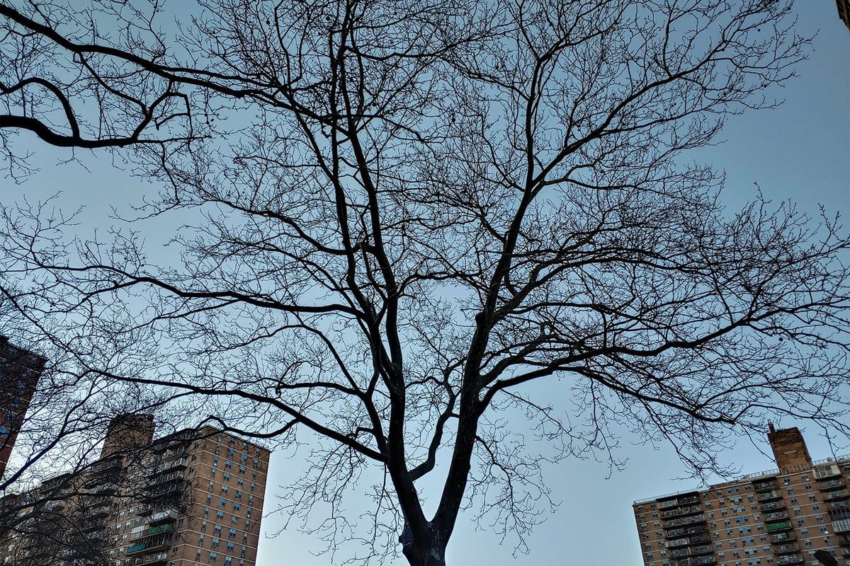 revision lg g8 thinq camera 6 1200x800 c