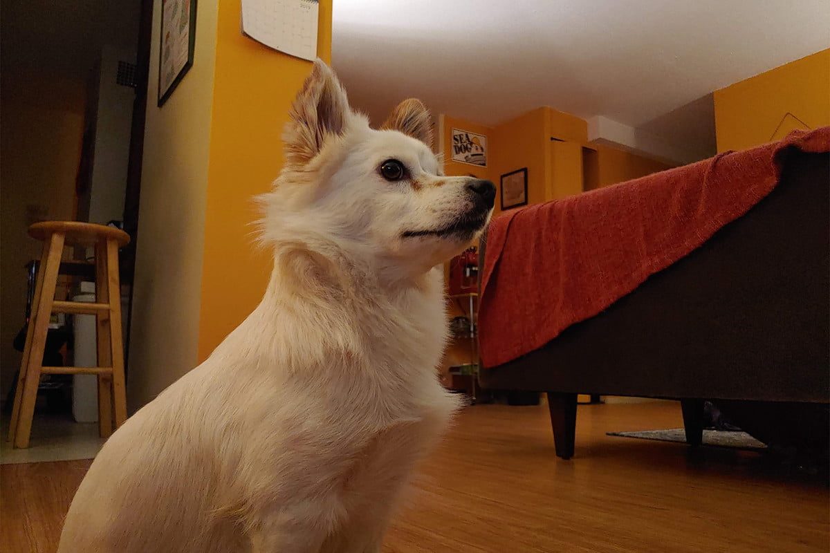 revision lg g8 thinq camera 7 1200x800 c