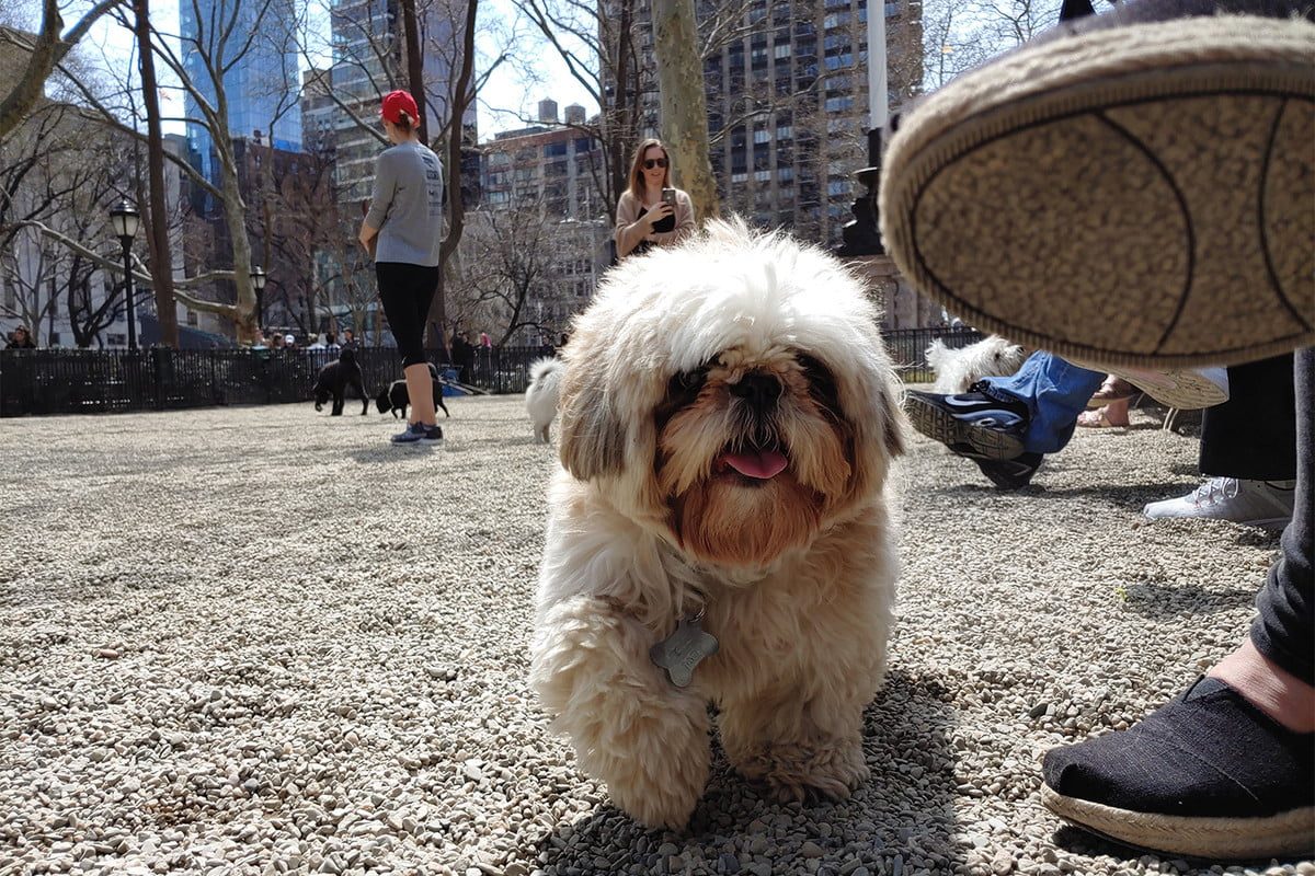 revision lg g8 thinq camera 8 1200x800 c