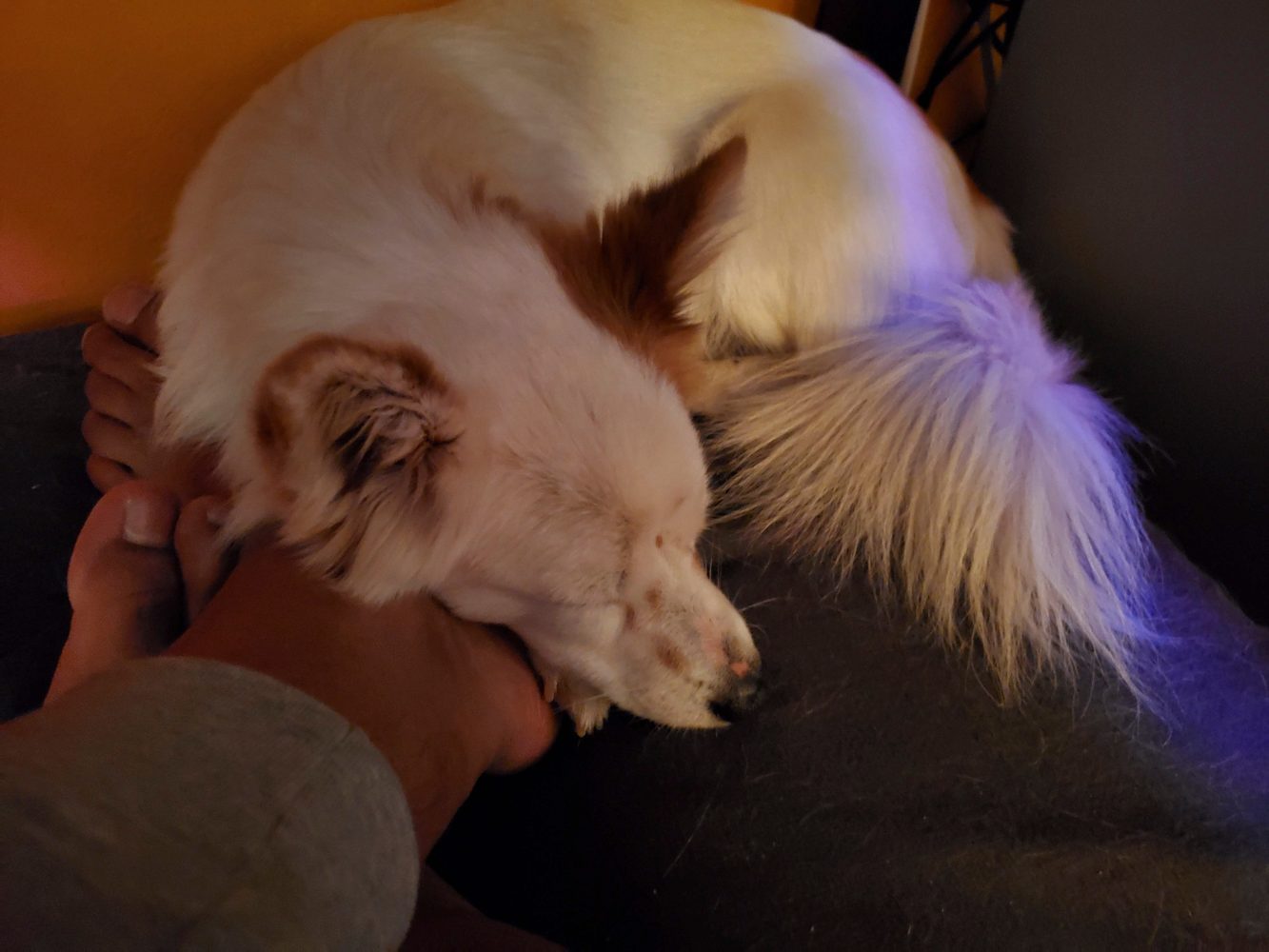 revision samsung galaxy fold camera sample low light 3