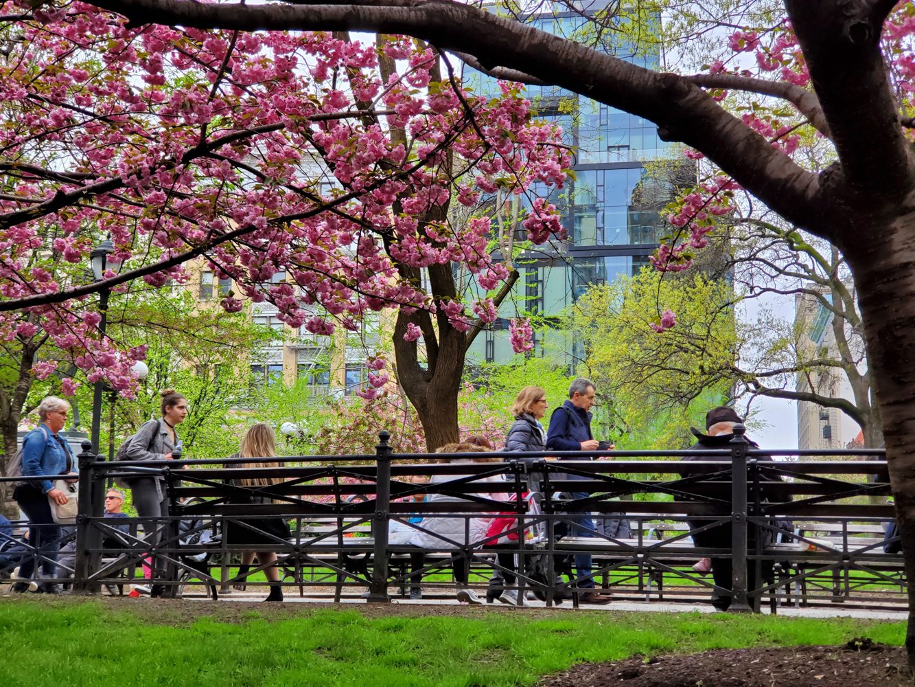 revision samsung galaxy fold camera sample telephoto 2