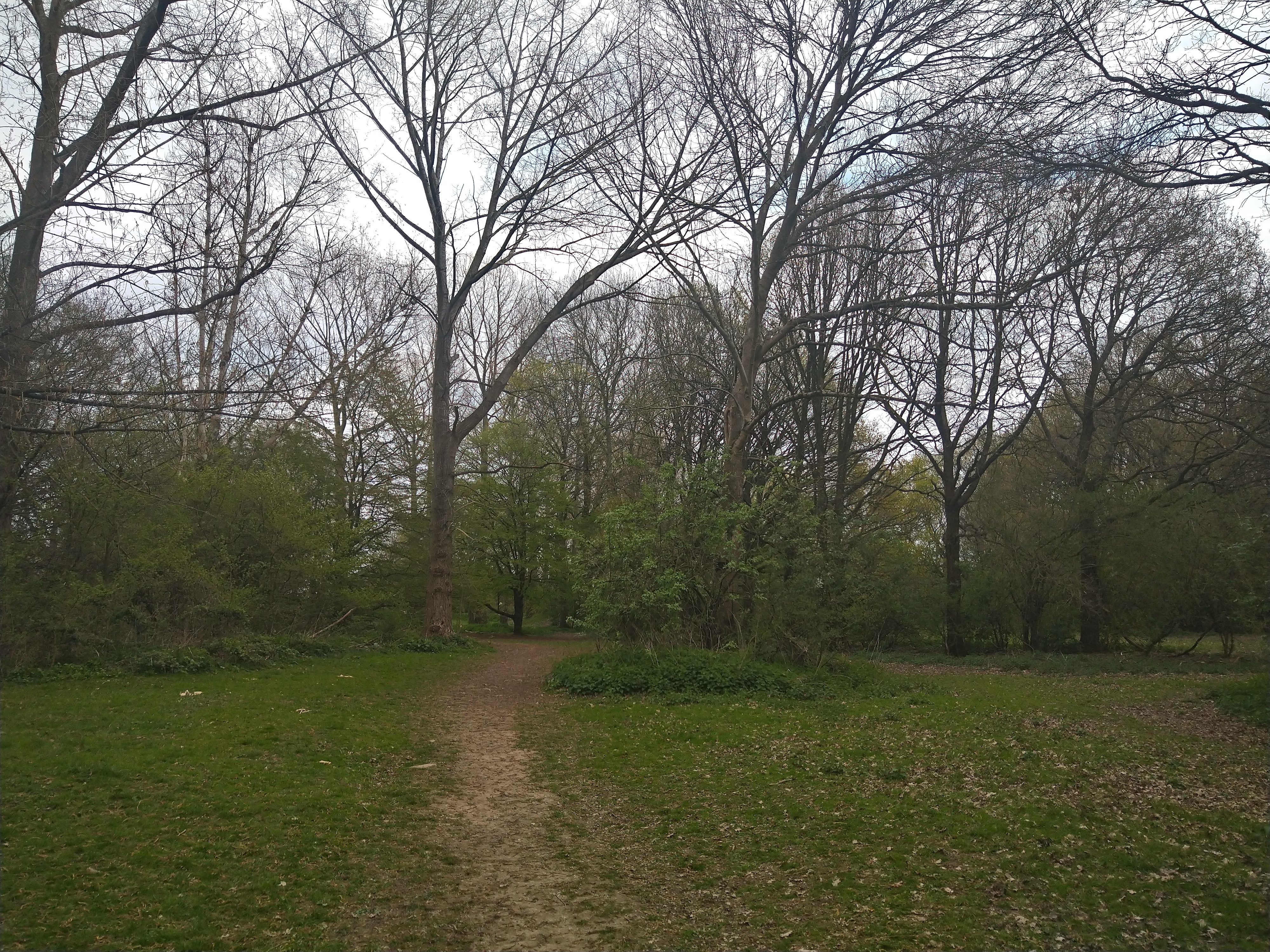 revision sony xperia 10 plus sample pictures 0015