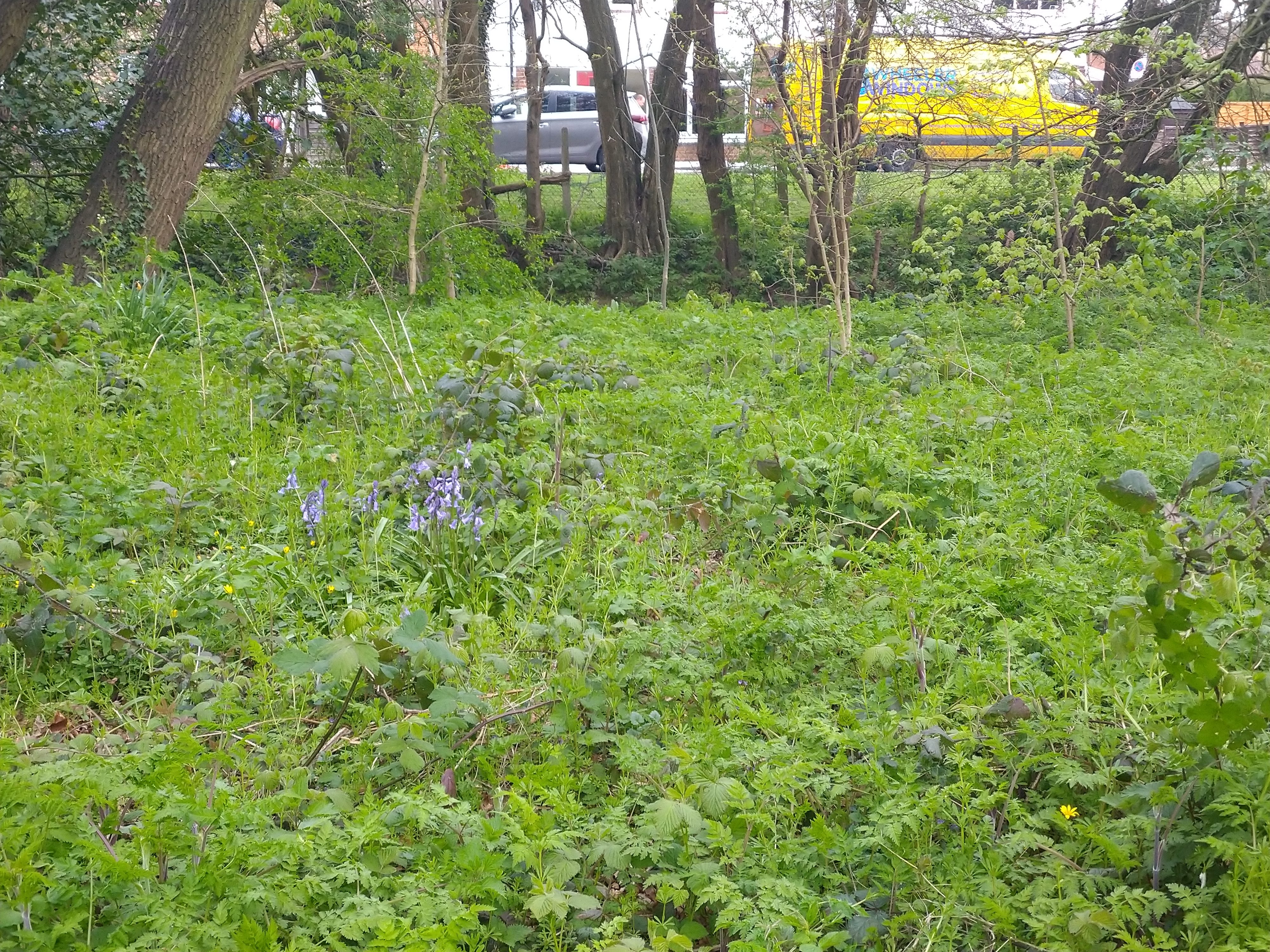 revision sony xperia 10 plus sample pictures 0016