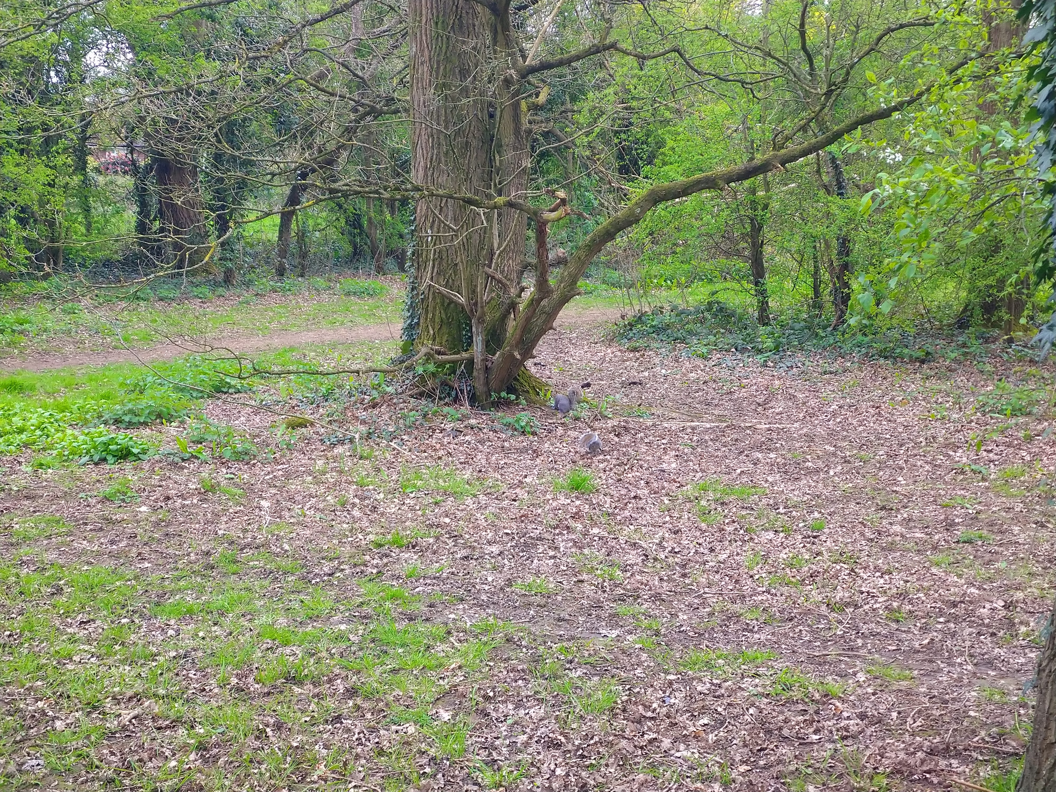 revision sony xperia 10 plus sample pictures 0021