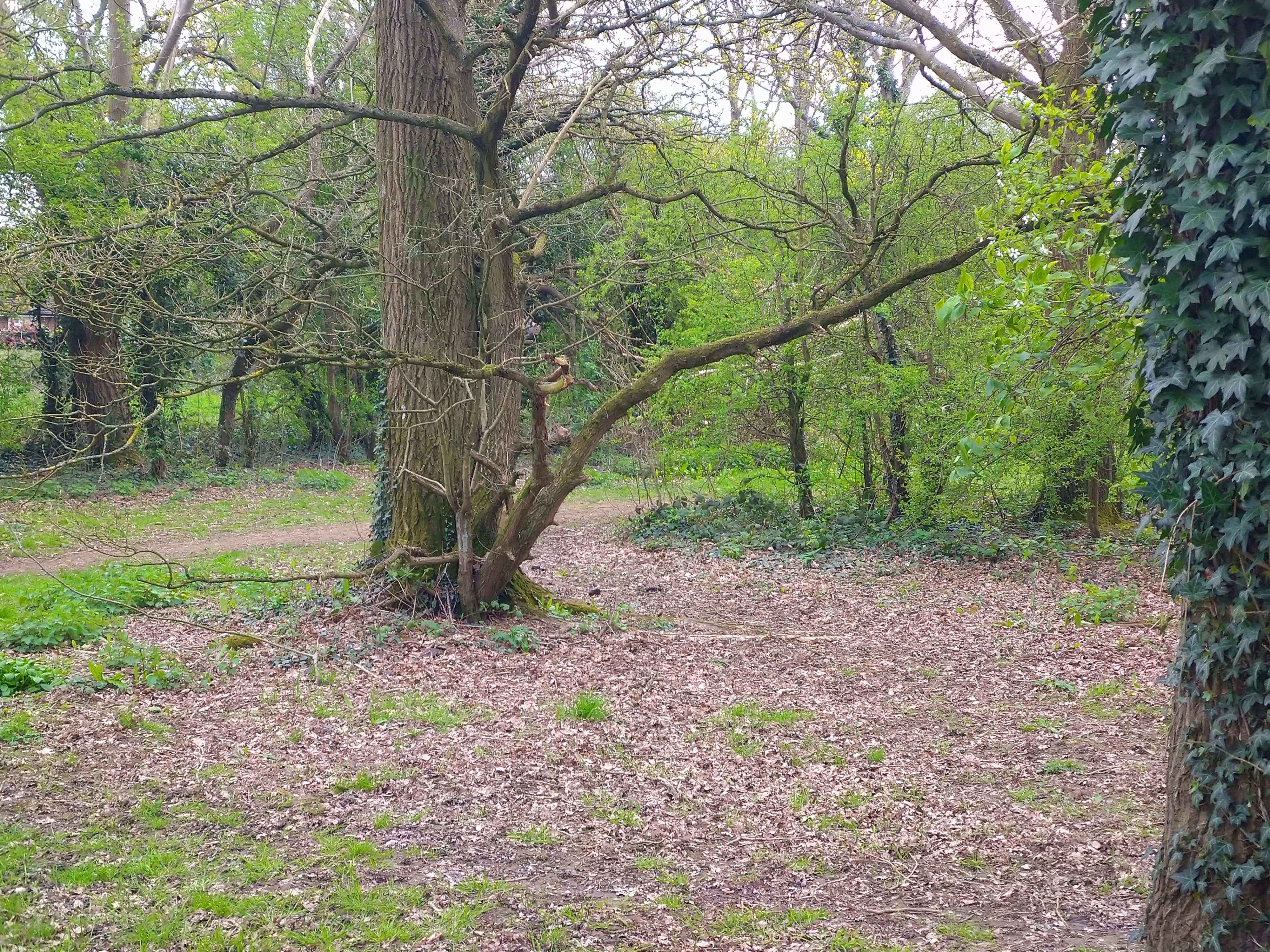 revision sony xperia 10 plus sample pictures 0022