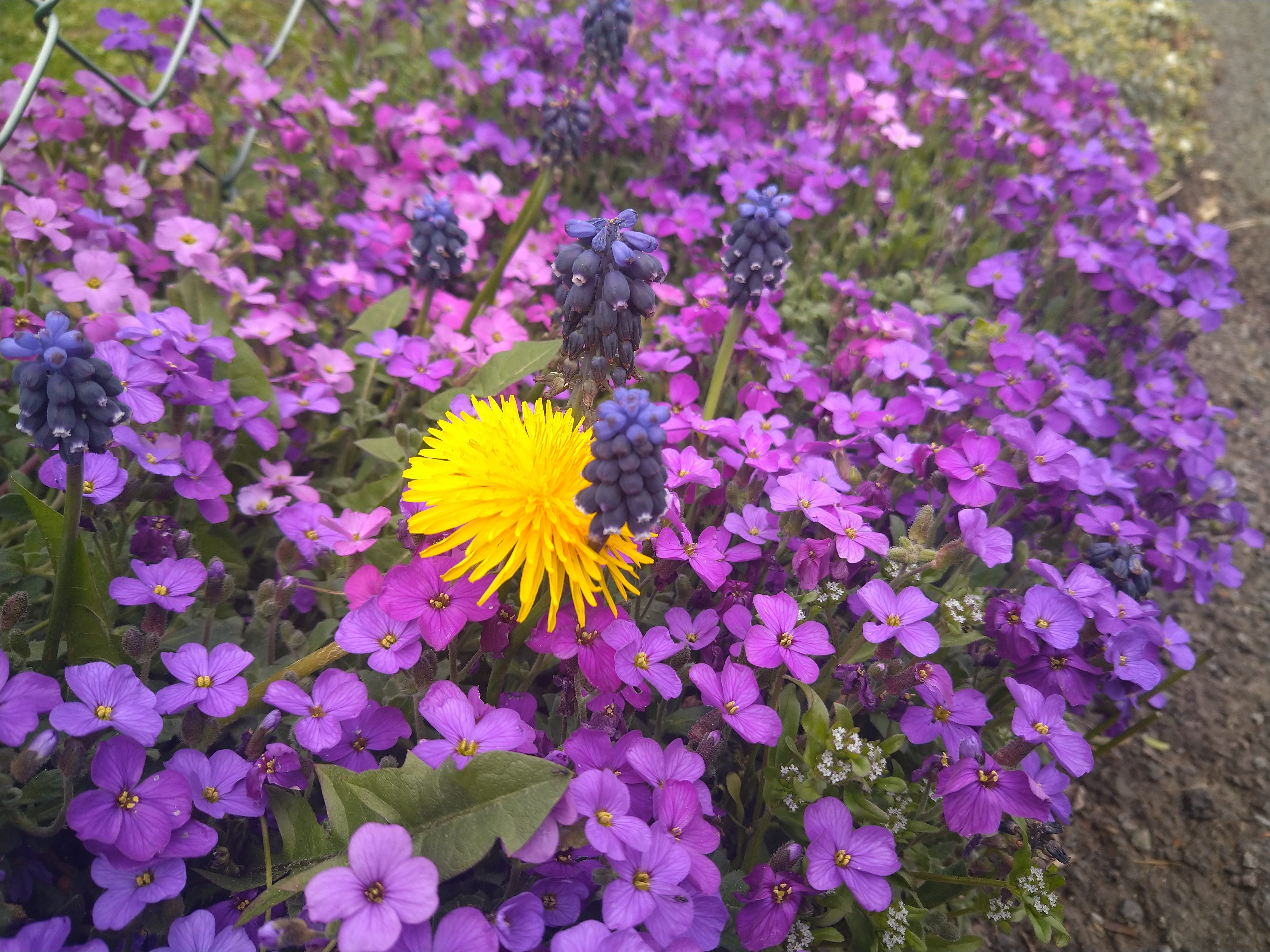 revision sony xperia 10 plus sample pictures 0028