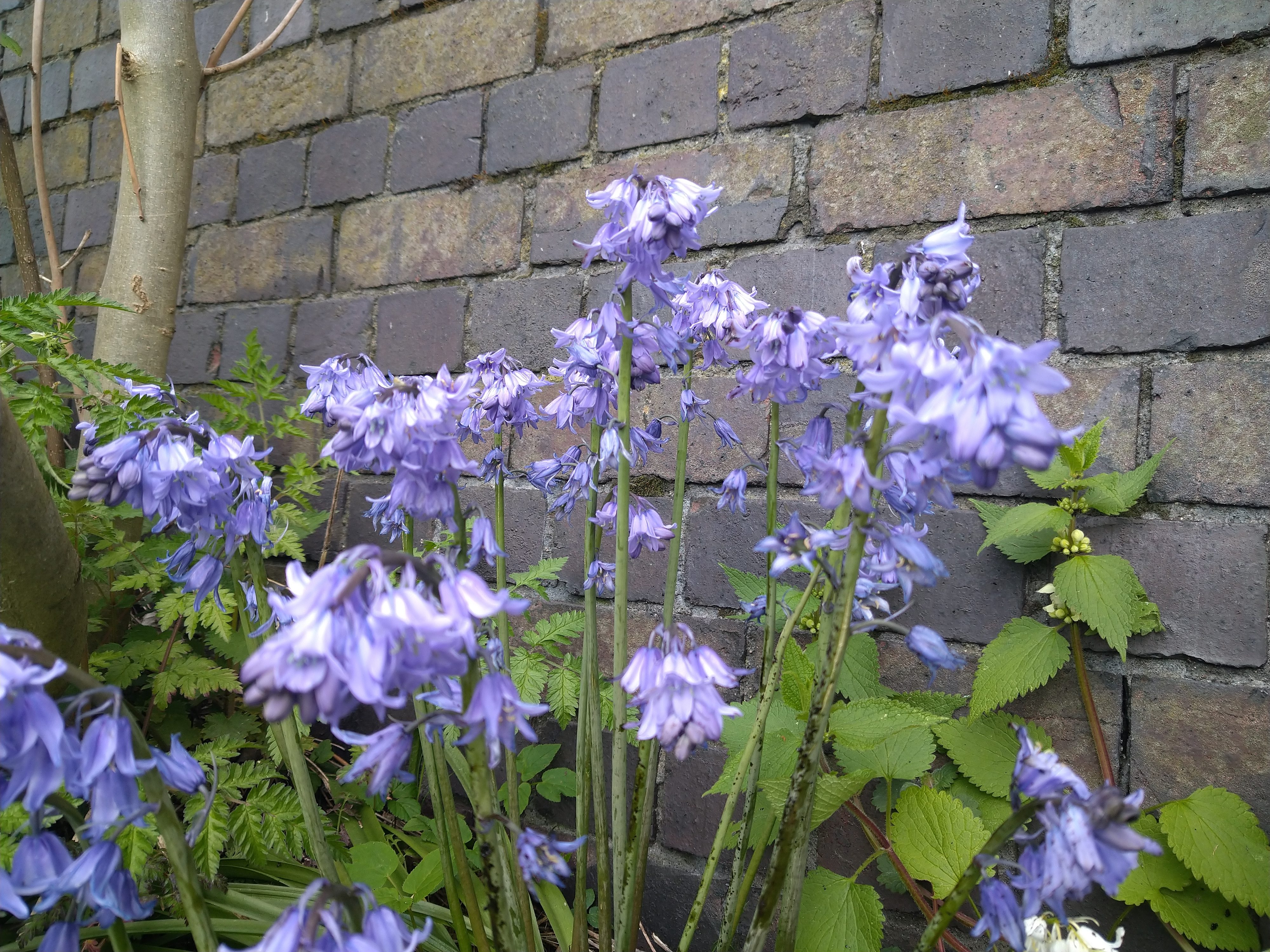 revision sony xperia 10 plus sample pictures 0033