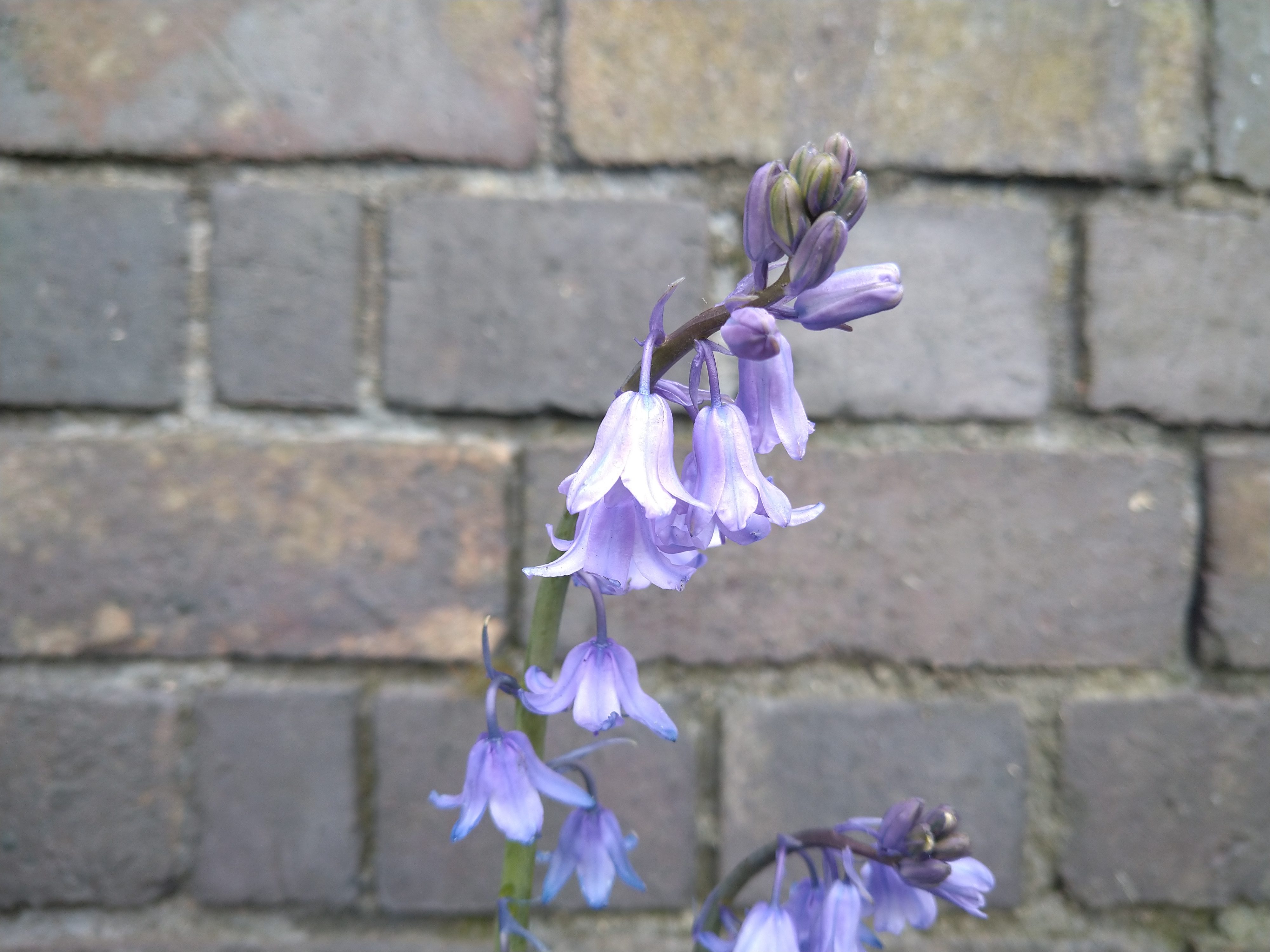 revision sony xperia 10 plus sample pictures 0034