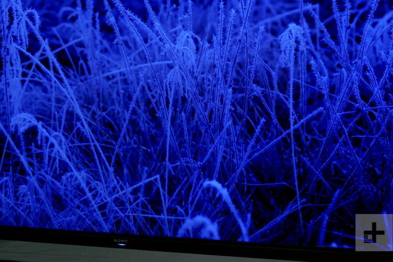 revision sony z9g 8k 85 inch hdr led tv review 8 800x534 c