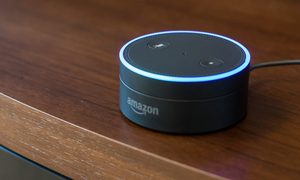 Cómo restablecer un Echo Dot