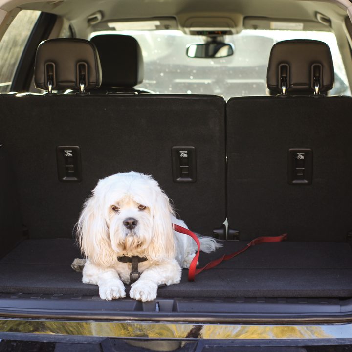 revision gmc terrain slt 2019 1