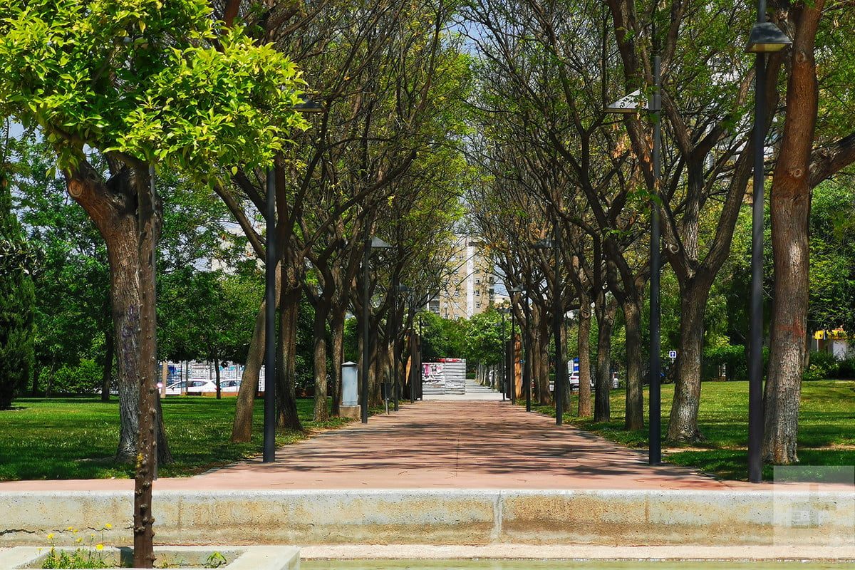 revision honor 20 pro cam samp 2 1200x800 c