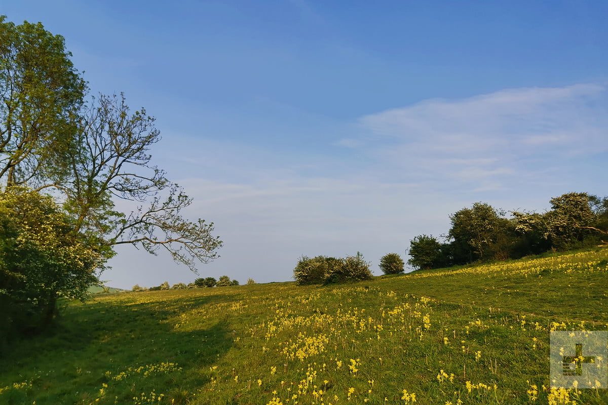 revision honor 20 pro cam samp 7 1200x800 c