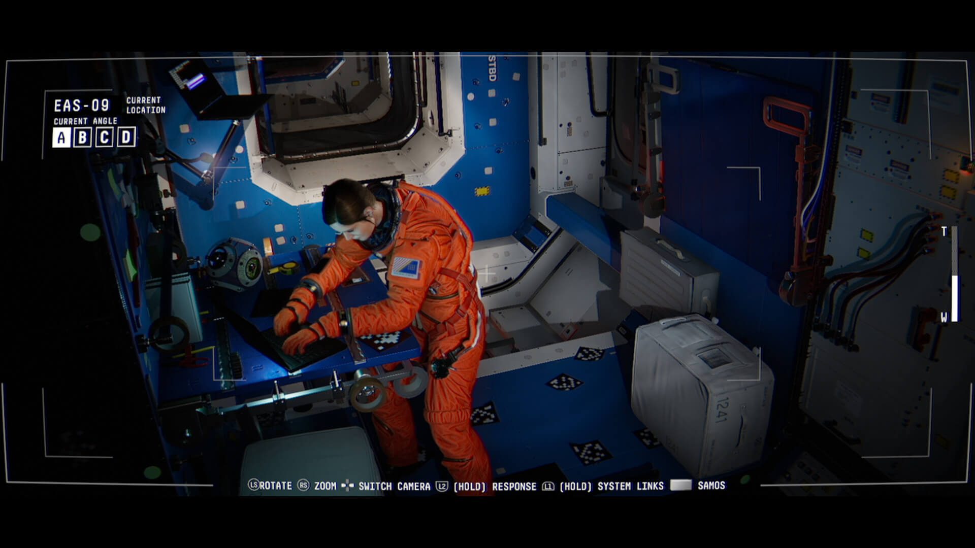 revision observation 1