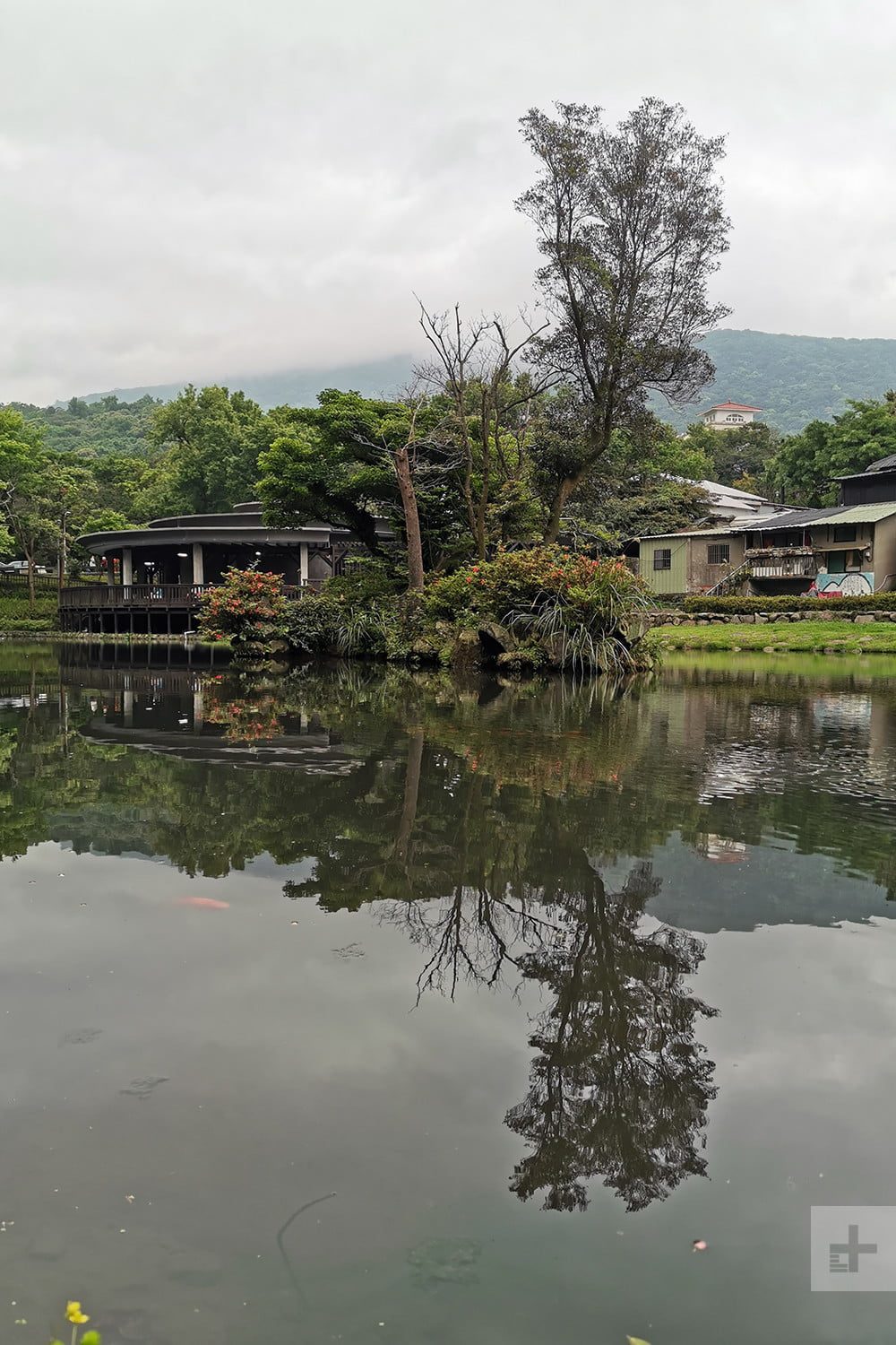 Huawei P30 Pro vs. Google Pixel