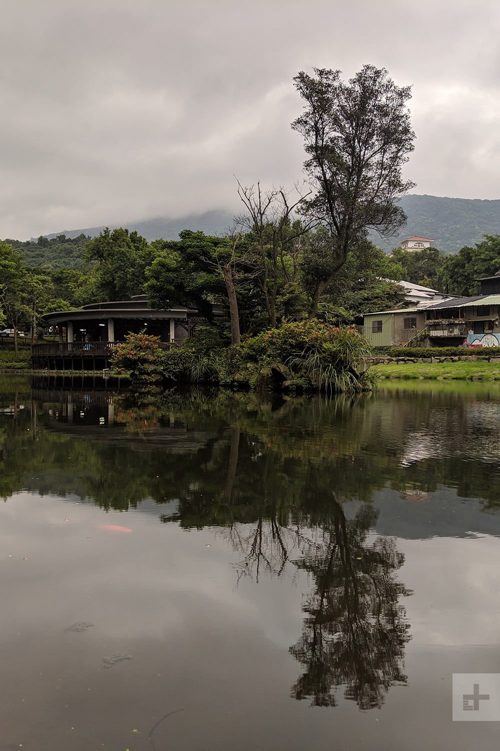 Huawei P30 Pro vs. Google Pixel