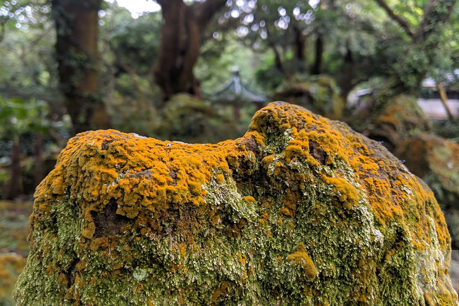 Huawei P30 Pro vs. Google Pixel