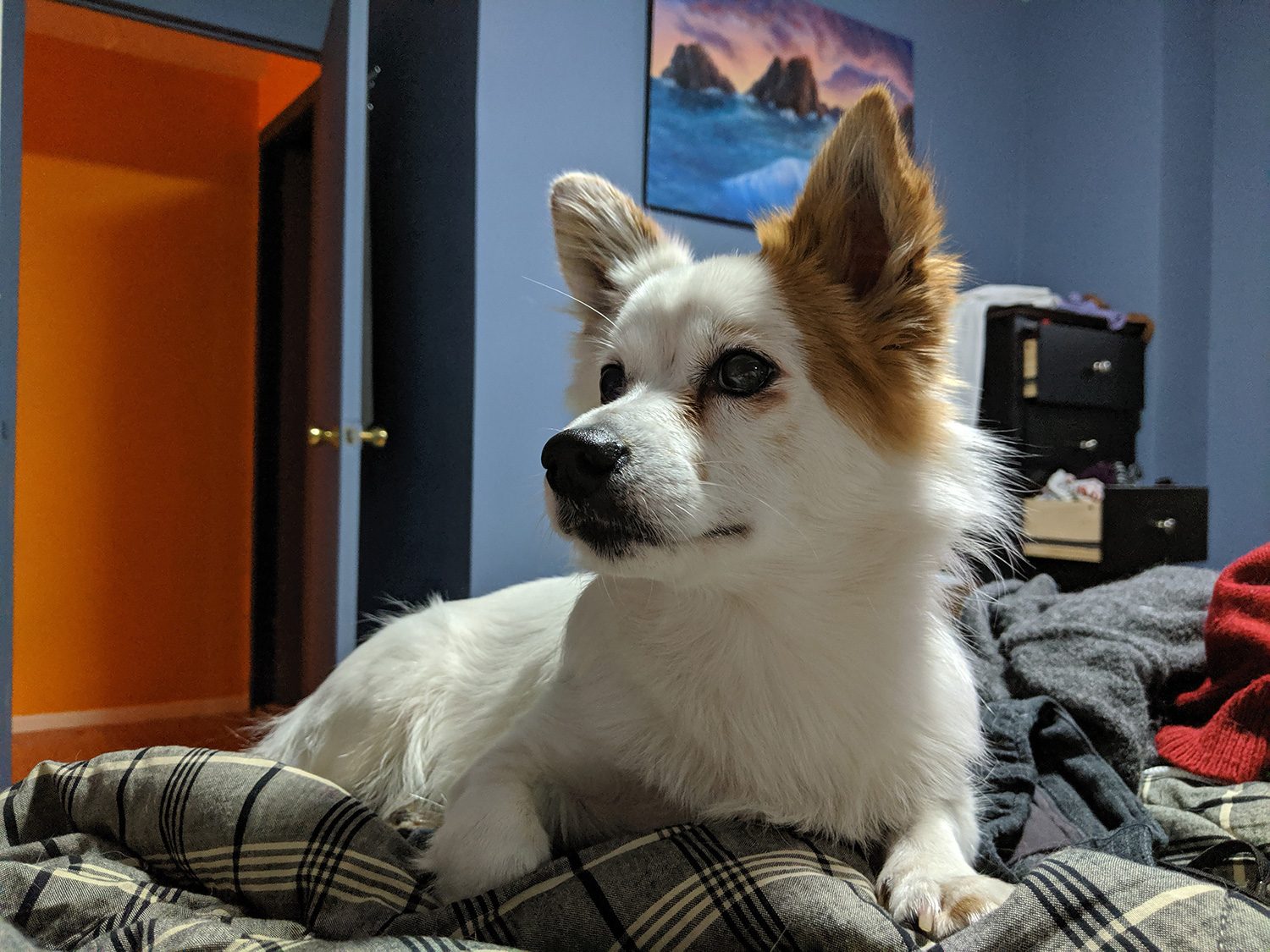 revision google pixel 3a y xl camera samples night sight 2