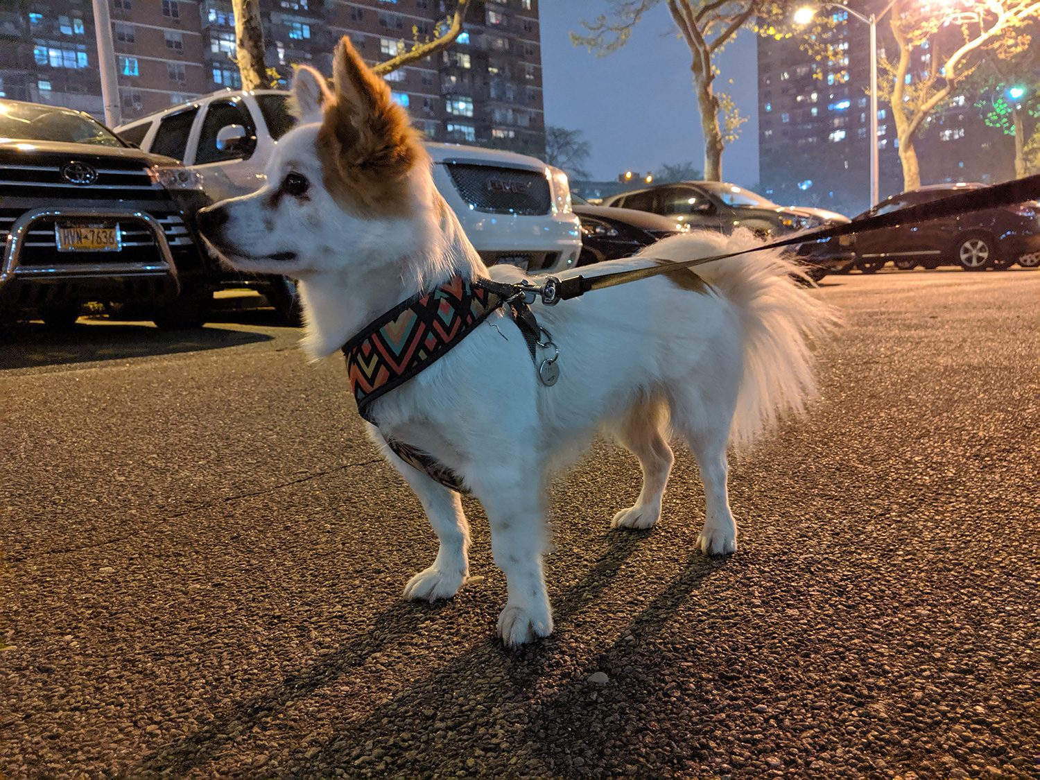 revision google pixel 3a y xl camera samples night sight 3
