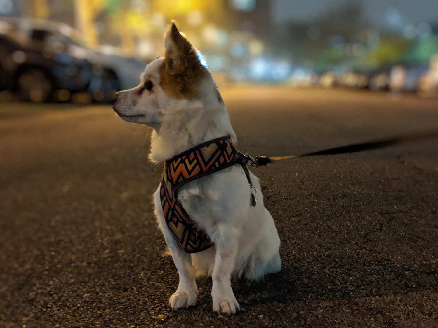 revision google pixel 3a y xl camera samples portrait 5