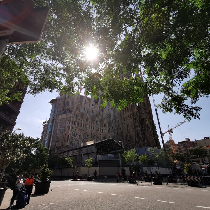 revision huawei p30 2019 sample image 20