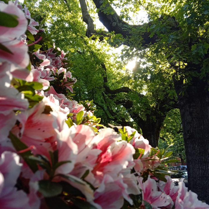 revision nuu g3 img 20190529 175759 3