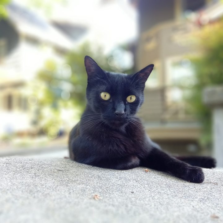 revision nuu g3 img 20190529 175947 5