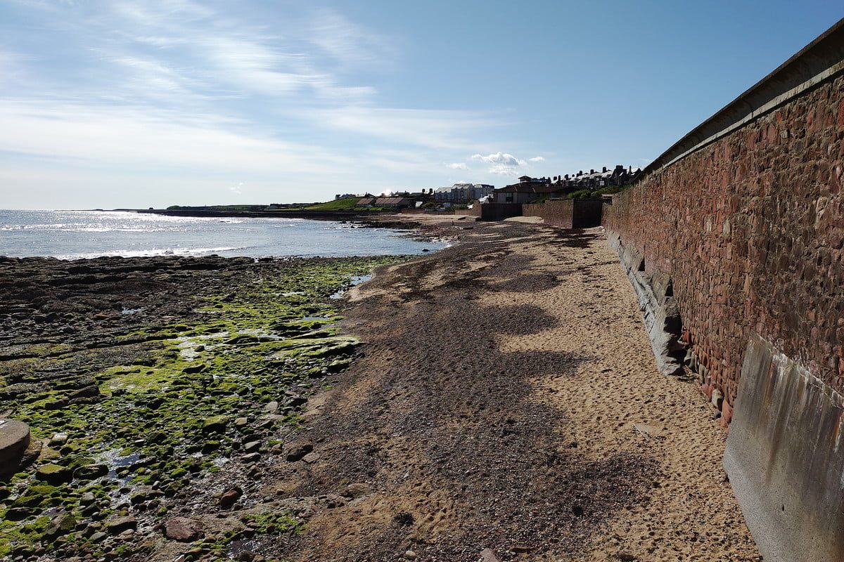 revision red magic 3 review camera samples 30617 1200x800 c