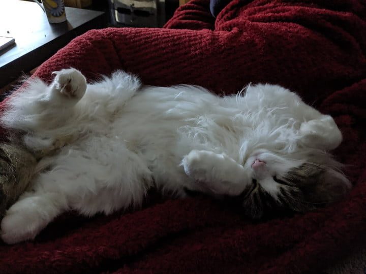 revision red magic 3 review camera samples 30628 720x720